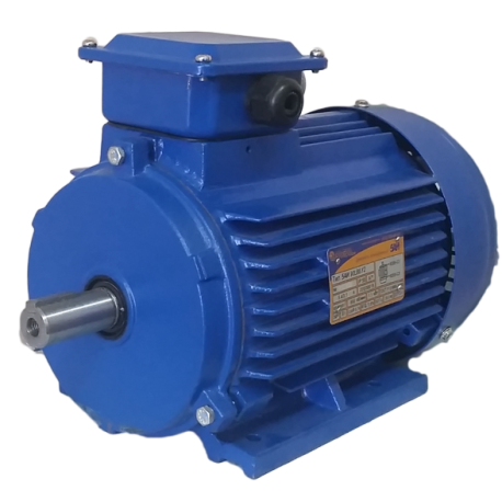  5315S6 IM2001 380/660B 50 IP54 -2 110 1000 / 