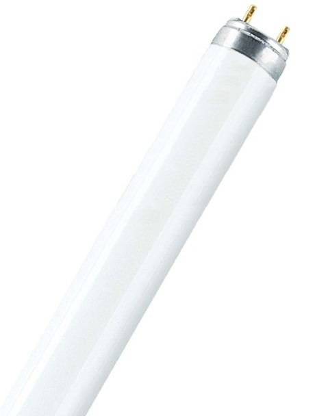   L 36W/640 36 T8 4000 G13 . OSRAM 4052899352810