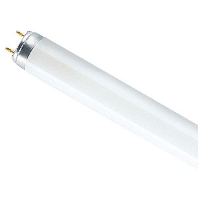   L 30W/765 G13  . OSRAM 4008321959706